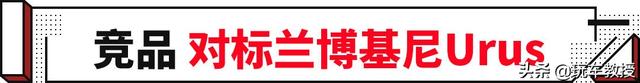 fuv是什么车，fuso是什么牌子的车（Purosangue曝光）