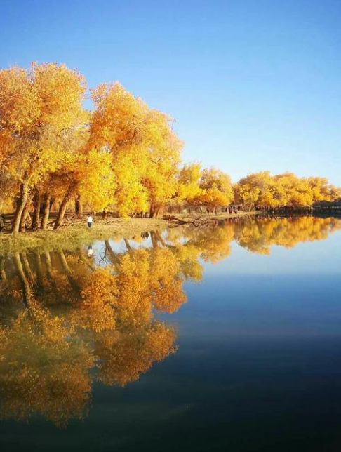 赞美秋天的诗句，赞美秋天景色的古诗（十首最美的秋日诗词）