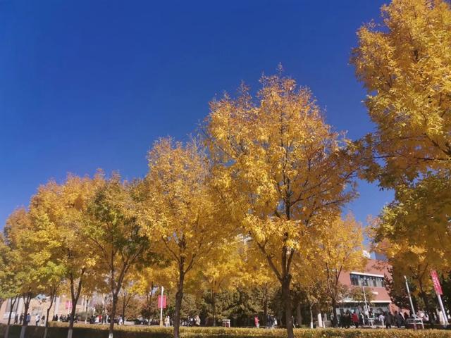 河北科技工程职业技术大学在哪，河北科技工程职业技术大学是几本（河北新添的3所本科大学）