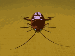 为什么有的蟑螂会飞有的不会，为啥有的蟑螂会飞（北方人永远不知道）