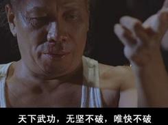 壁虎吃什么食物，家养壁虎吃什么食物（壁虎为何能在墙壁如履平地）