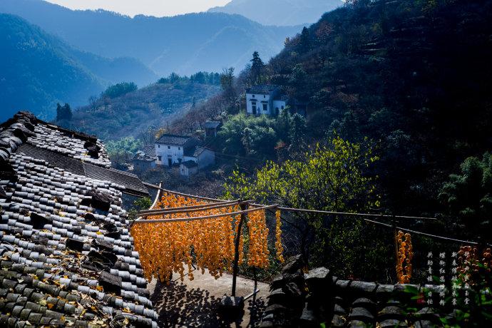 我们又出发了,这次我们去村子对面那座山上观景台,想拍拍姬川村全景