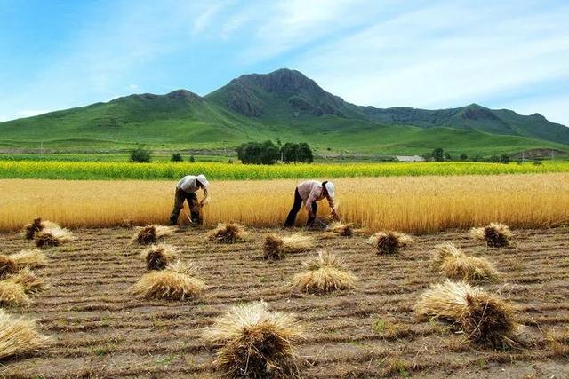籍贯指的是什么，籍贯指的是什么和户籍的区别（有不少表格需要填籍贯）