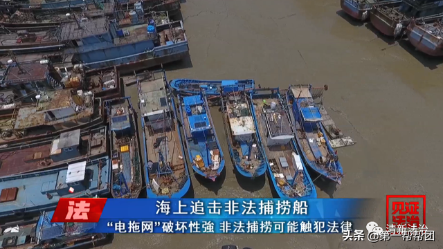 鲎是保护动物吗，鲎是保护动物吗为啥（休渔期非法捕捞国家保护动物中华鲎）