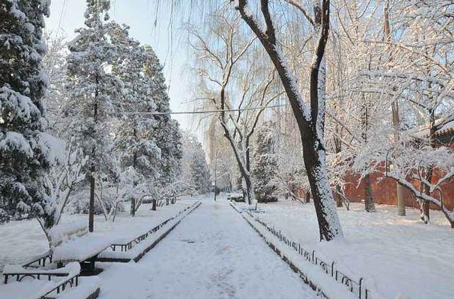 生日当天放生的好处，生日放生有什么讲究吗（今天是传说中最神奇的日子）