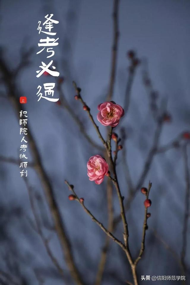 半角空格和全角空格区别，半角空格怎么打（这这这，事关考试，你都不看）