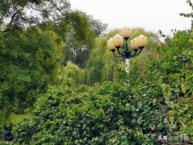 刘伯温故里山东地址，追寻著名历史人物韩信、袁绍、刘伯温的足迹