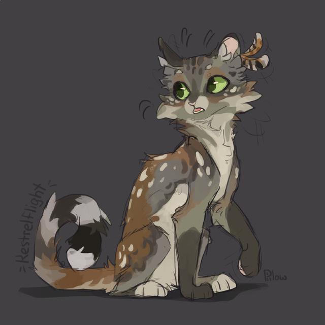 猫咪头像微信，猫咪头像（哪只像你的小可爱）