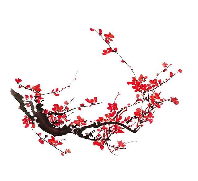 梅花什么颜色，冬天的梅花什么颜色（在古诗词中优雅地绽放）