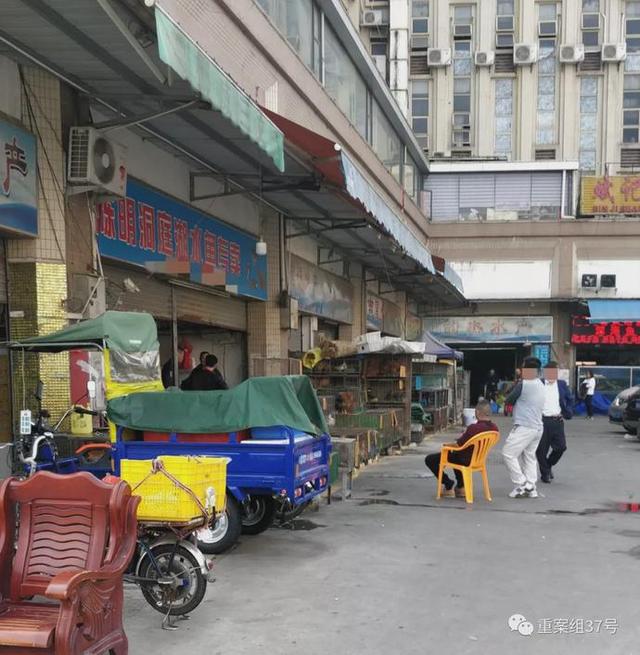 白麵狸是幾級保護動物,白麵狸是幾級保護動物能治什麼藥(武漢商家稱可