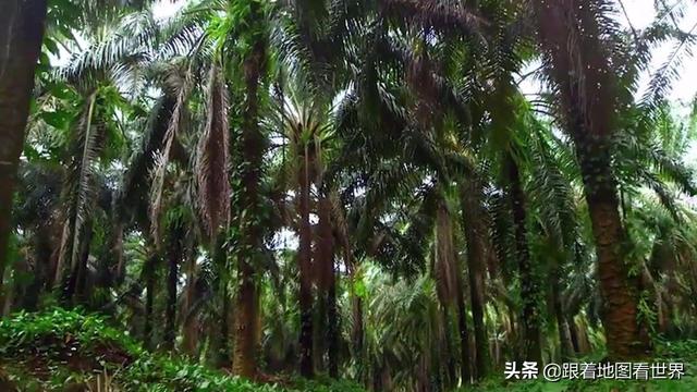 哥斯达黎加首都，哥斯达黎加气候（哥斯达黎加是如何成为一个没有军队的国家）