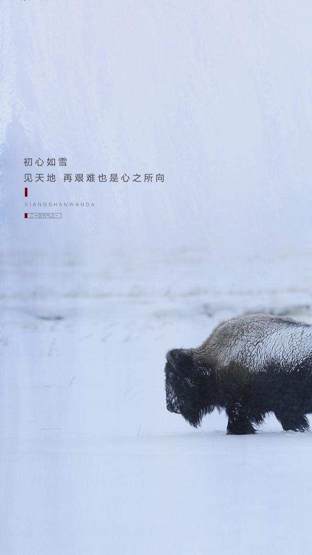 千里黄云白日曛的下一句，千里黄云白日曛下一句是啥（北风吹雁雪纷纷——盛大之雪）