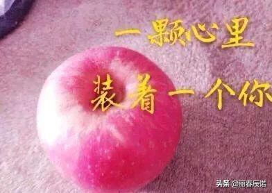 如隔三秋上一句,如隔三秋上一句成语是什么(藏头打油小诗/一日不见如隔三秋) 如隔三秋上一句,如隔三秋上一句成语是什么(藏头打油小诗/一日不见如隔三秋)