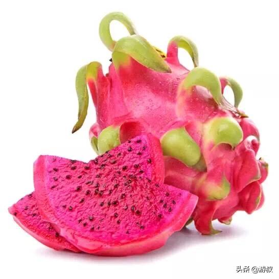 狗可以吃柚子吗，狗狗可以吃柚子吗（狗狗禁用水果）