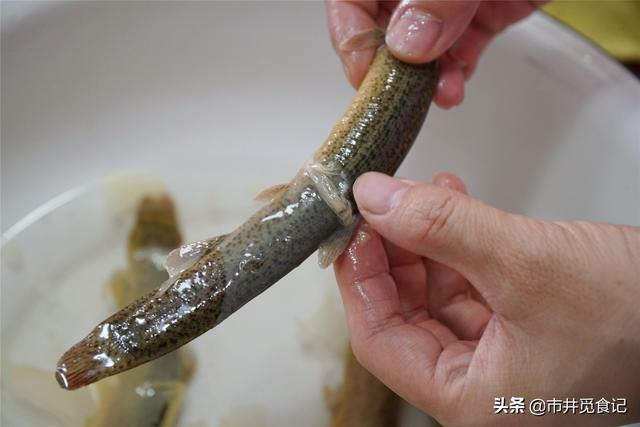 泥鳅喜欢吃什么，泥鳅吃什么（泥鳅身上这地方不能吃）