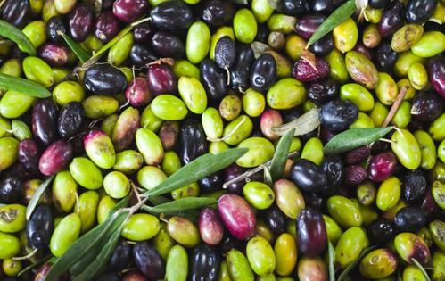 食用橄榄油的用法，食用橄榄油怎么用（在常温下使用橄榄油是最好的）