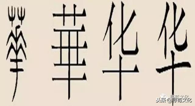 曹的五笔怎么打，曹字五笔怎么打的（华-汉字的艺术与中华姓氏文化荀卿庠整理）