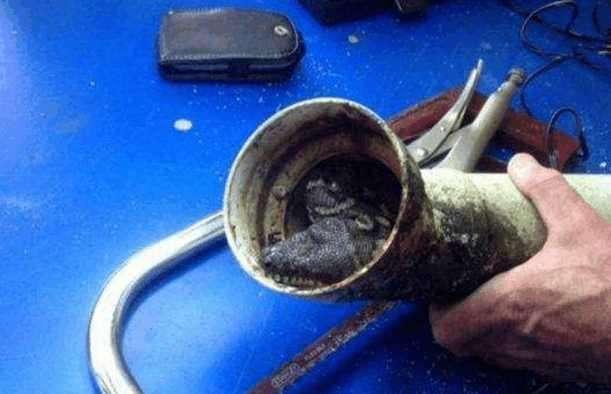 新楼盘二楼还存在下水管堵吗，高层房子住二楼最舒服（维修费找楼上住户平摊）