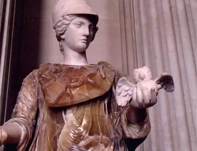 养雪鸮犯法吗，宠物雪貂多少钱一只（猫头鹰的构造原来这么奇葩）