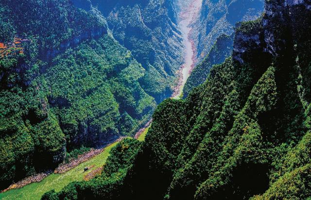 乌江道上古诗李白，乌江道上古诗李白没铁（乌江道上古诗李白赏析）