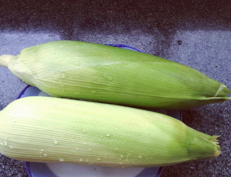 冻玉米怎么煮，生的冻玉米怎么煮（有人先煮后冻）