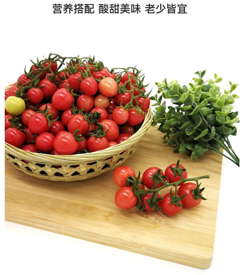 圖片[6]-圣女果的營養價值到底有多高？-起舞食譜網