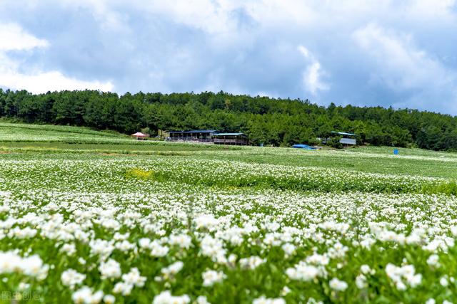 前列腺炎一杯水自测，被前列腺炎青睐的男人（早晚喝一杯）