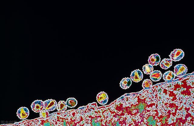 艾滋病初期手上水泡图片，手指上有透明的小水泡（患艾滋病后，会有哪些前期症状）