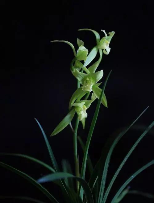 喝红酒适合发朋友圈的句子，喝红酒适合发朋友圈的句子简短（品红酒感悟人生的说说）