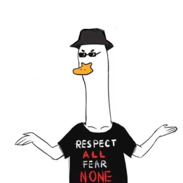 100组沙雕情侣头像，沙雕图片情侣头像（令人眼前一亮的发圈文案）