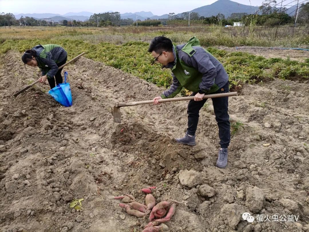 广东康力医药有限公司（企业志愿行）