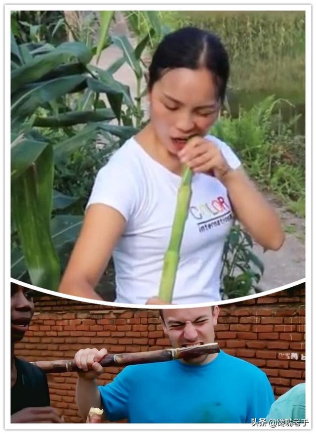 菠萝蜜怎么剥皮小窍门，如何剥菠萝蜜（公认“最难剥皮的6种水果”）