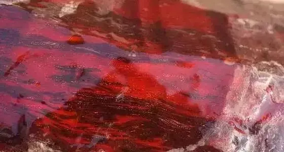 缅甸花枝是红木吗，缅甸花枝是红木吗值钱吗（18种濒危管制红木木种盘点）