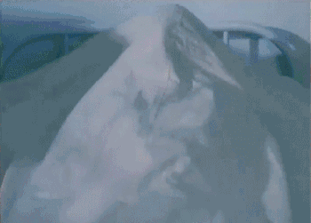 疯狂的兔子为什么吓人，为什么我感觉兔子吓人（这是我第一次为6分国产片喊冤）