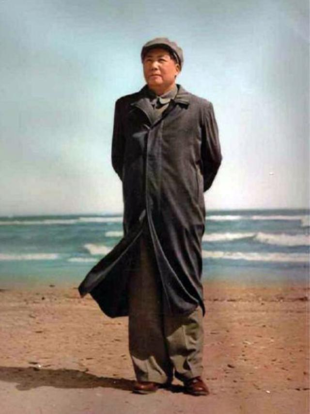 《潼关》古诗的翻译，《潼关》古诗的翻译100字（赵新月讲毛主席诗词《河出潼关》）