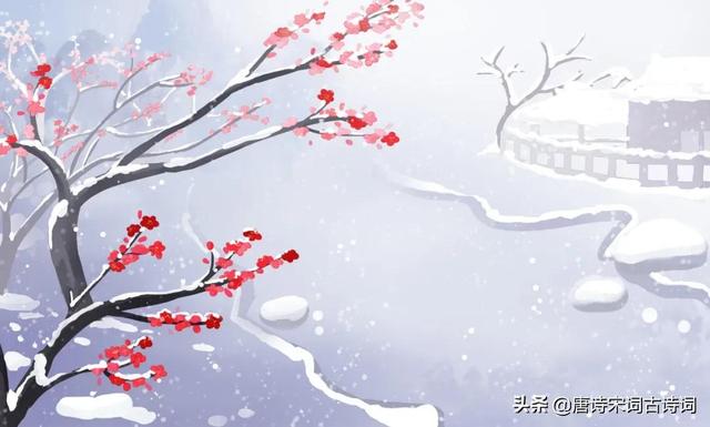 朱璇个人资料简介，朱弦已为佳人绝,青眼聊因美酒横（寒炉美酒时温）