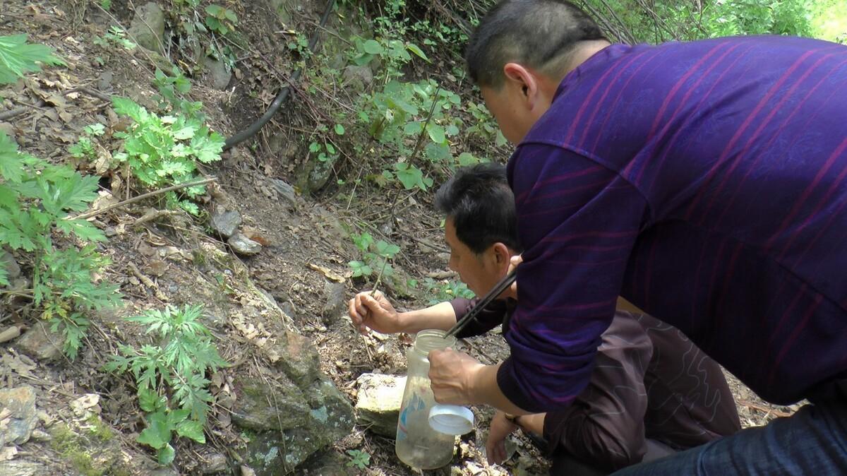 蝎子网络（贺兰山近2000人组团抓蝎子）