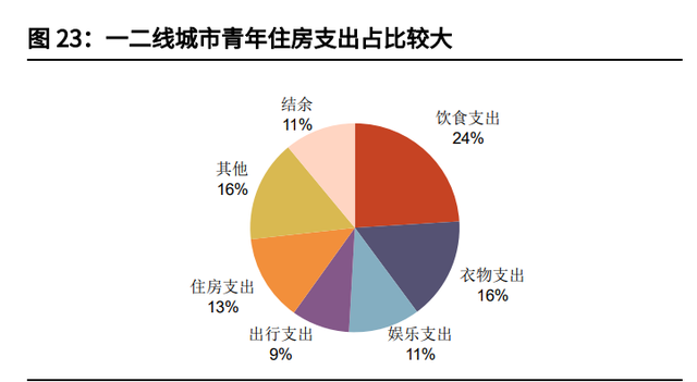 个人成长分析报告，个人成长分析报告总结（拼多多专题研究与投资价值分析报告）