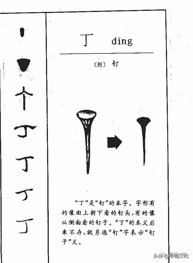 丁姓的来源和历史，丁姓起源来源详解（丁姓氏的汉字演变和家族来源过程荀卿庠整理）