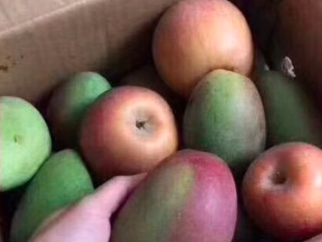利用苹果可以催熟其他水果，熟透的苹果可以催熟其他水果吗（春天遇到这水果必买10斤）