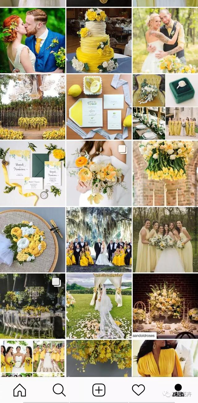 安卓instagram怎么注册，安卓怎么注册ins（一个强大的移动花艺学习平台）