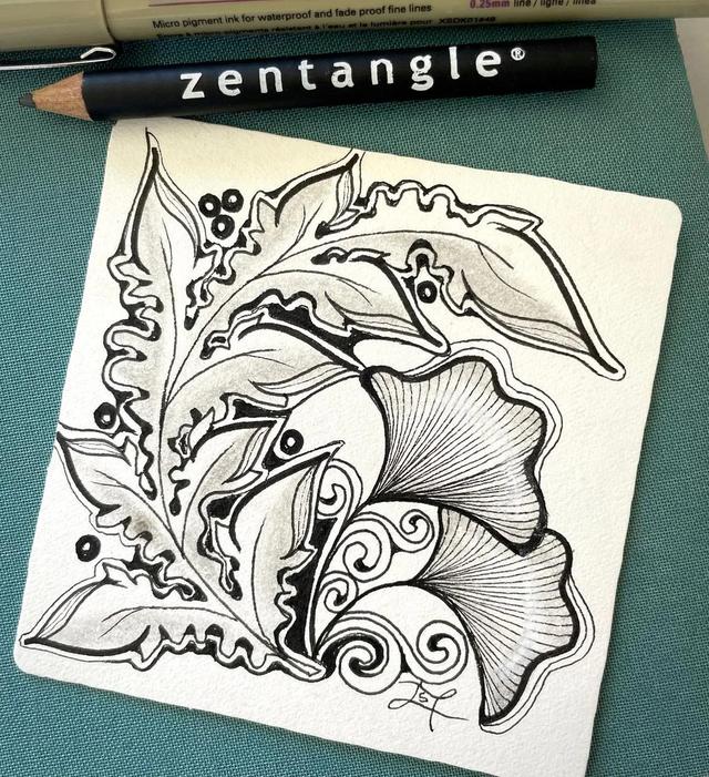 用圆规画出的精美图案，怎样用圆规画好看的图案（画出简单有创意的装饰禅绕画）