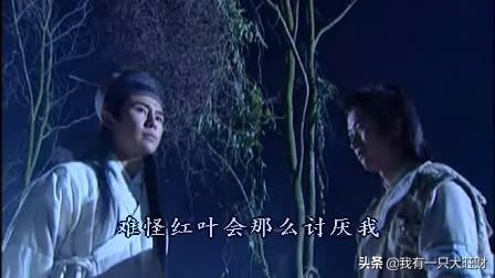 诸葛流云和红叶是什么电视剧，诸葛流云是哪个电视剧（《倩女幽魂》白发红叶终于动了情）