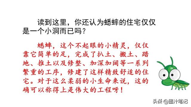 蟋蟀的住宅指的是什么，蟋蟀的住宅 是指什么（第三单元《蟋蟀的住宅》课文讲析）