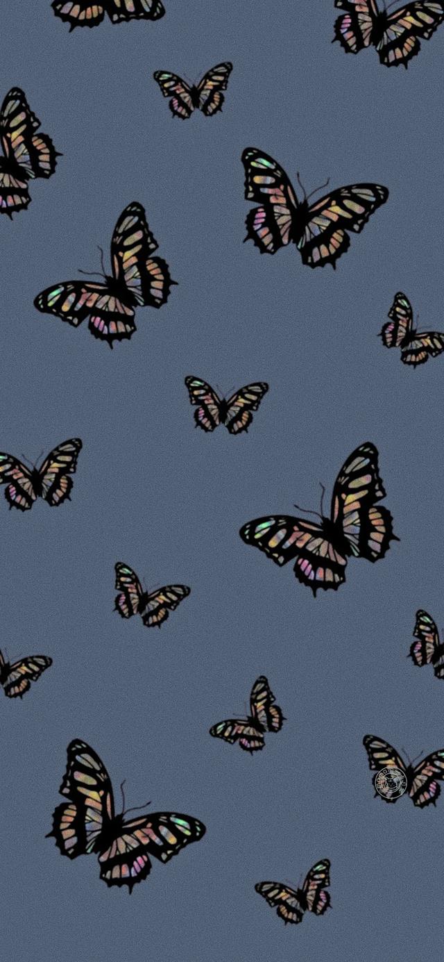 唯美有蝴蝶，微信头像，唯美有蝴蝶（超级惊艳靓丽的蝴蝶来了第二波）