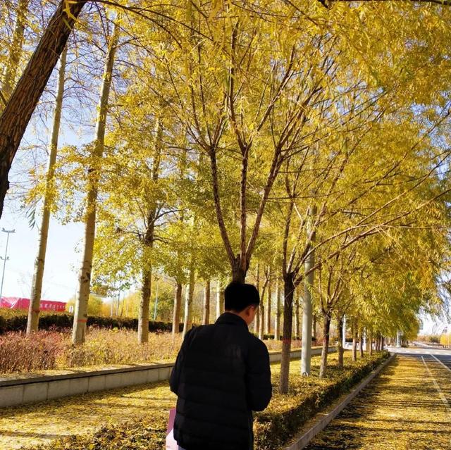 真人部位情头，微信头像，真人部位情头（愿你有能力）