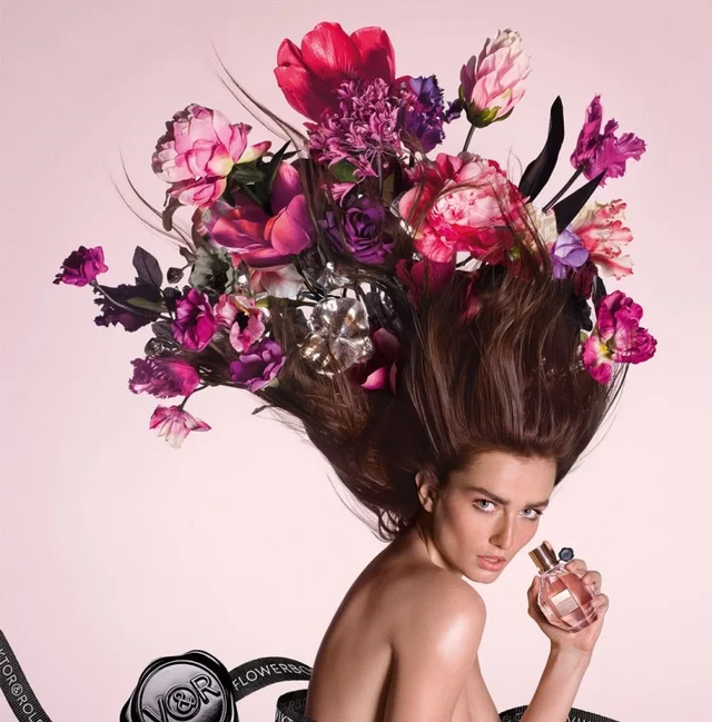 玫瑰花唯美ins风景清新意境美图，ins玫瑰图片复古风（摄影中的花之美）