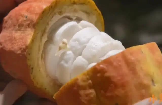 紫色的水果有哪些，粉红色的水果叫什么梅（7种高颜值紫色果子）