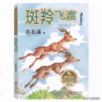 凝视的近义词是什么，部编版四年级语文下册第四单元达标测试卷