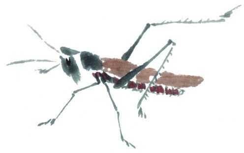 蜻蜓简笔画，蜻蜓简笔画彩色（老艺术家教你几个画法）